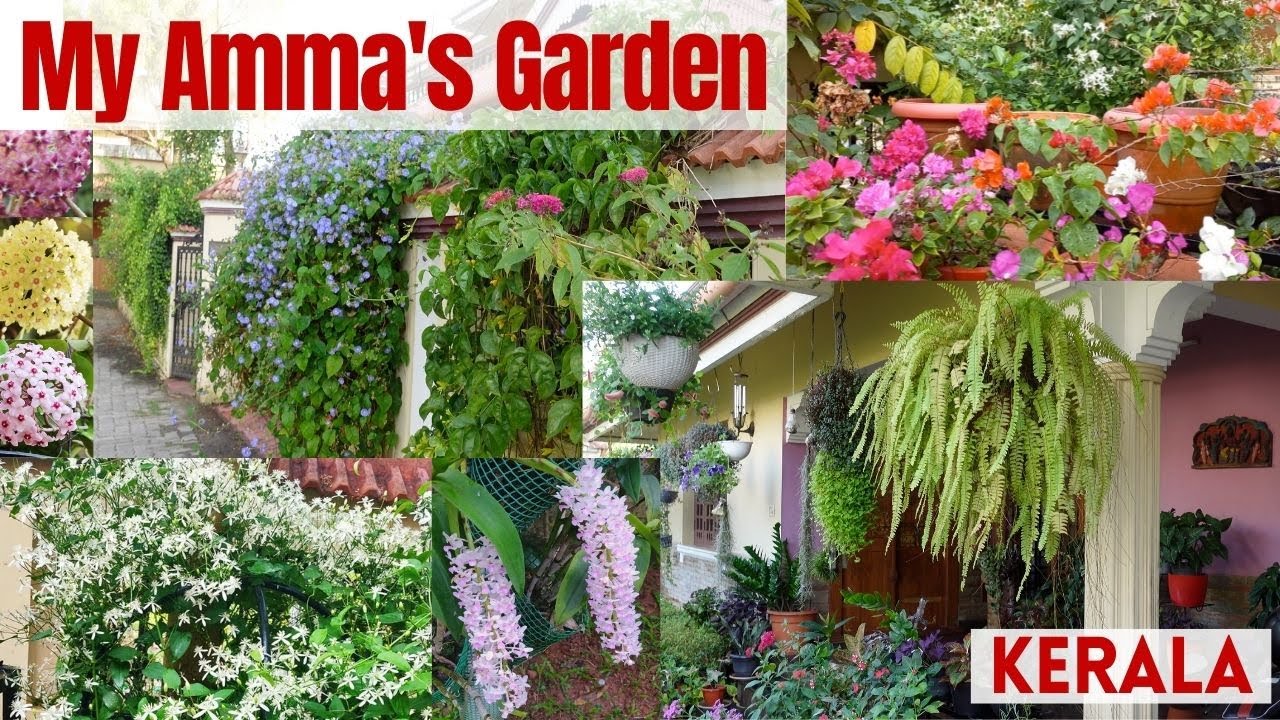 My Amma's Garden in Kochi|Beautiful Home Garden Tour|Kerala Home Garden Tour|Garden Tour Malayalam