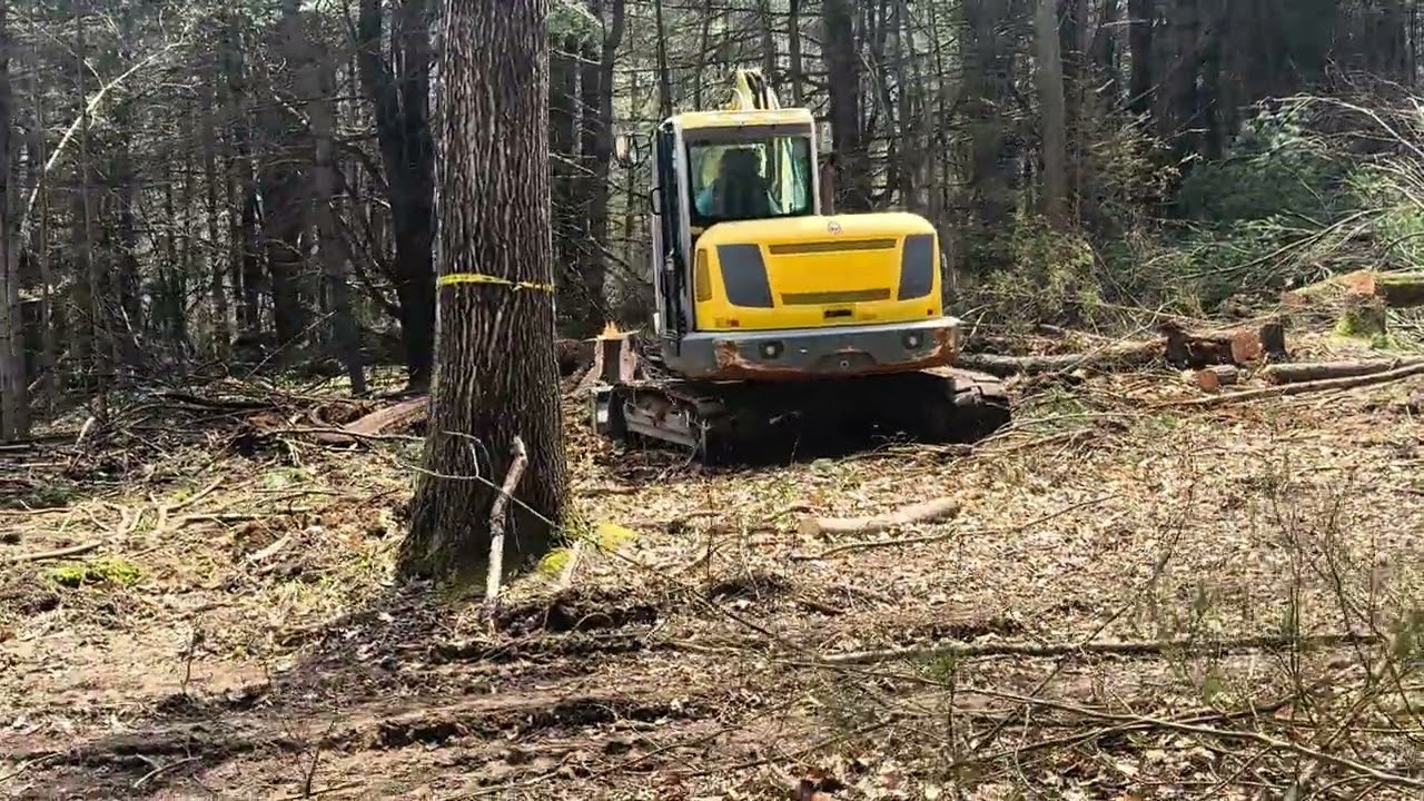 Wacker Neuson ET90 Clearing Land