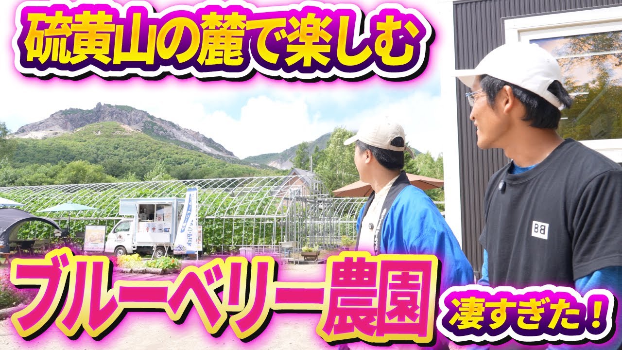 ＜8月OPEN＞硫黄山を眺めながら楽しむブルーベリー観光農園！！