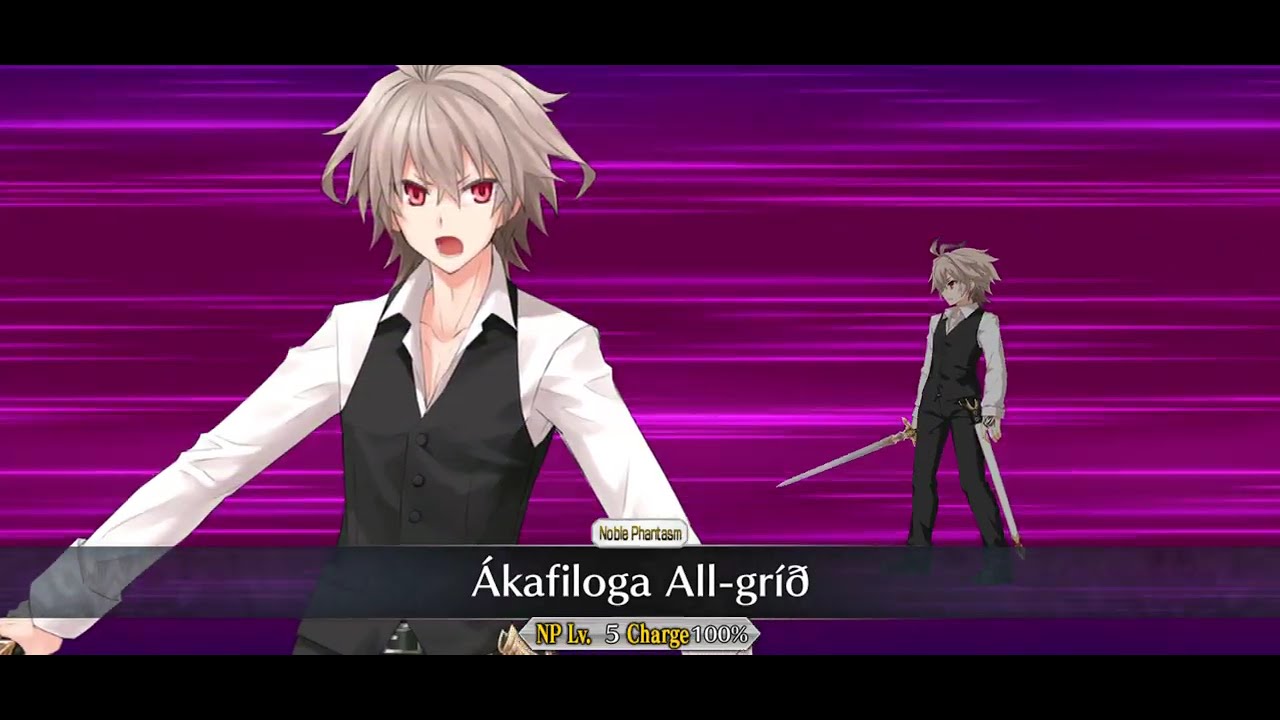 [FGO NA] Sieg looping test 