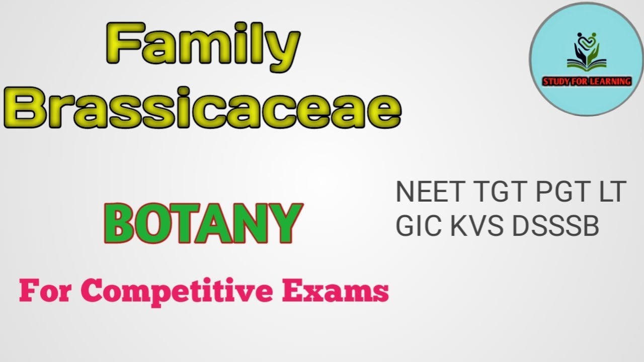 Family Brassicaceae: exam oriented important questions#botany #biology