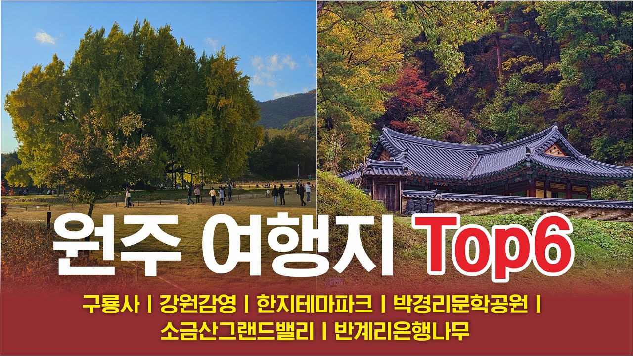 원주 로드 완전 찢었다🔥 구룡사–강원감영-한지테마파크 - 박경리문학공원-소금산 그랜드밸리–반계리은행나무까지 가을 맛집 투어