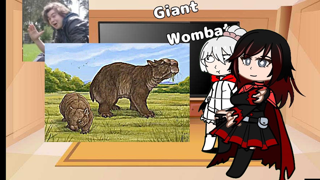 Team Rwby React to Australian Wildlife during early Ages | Gacha life reacts inspo: