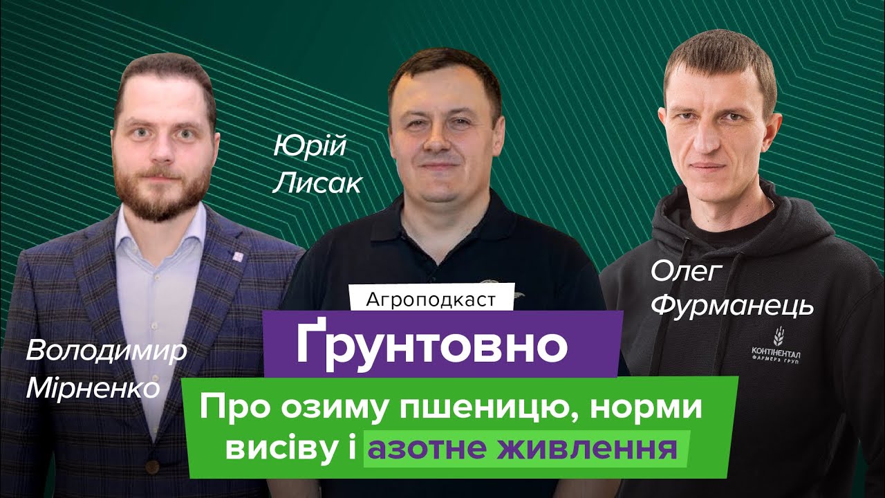Озима пшениця - від посіву до якісного врожаю