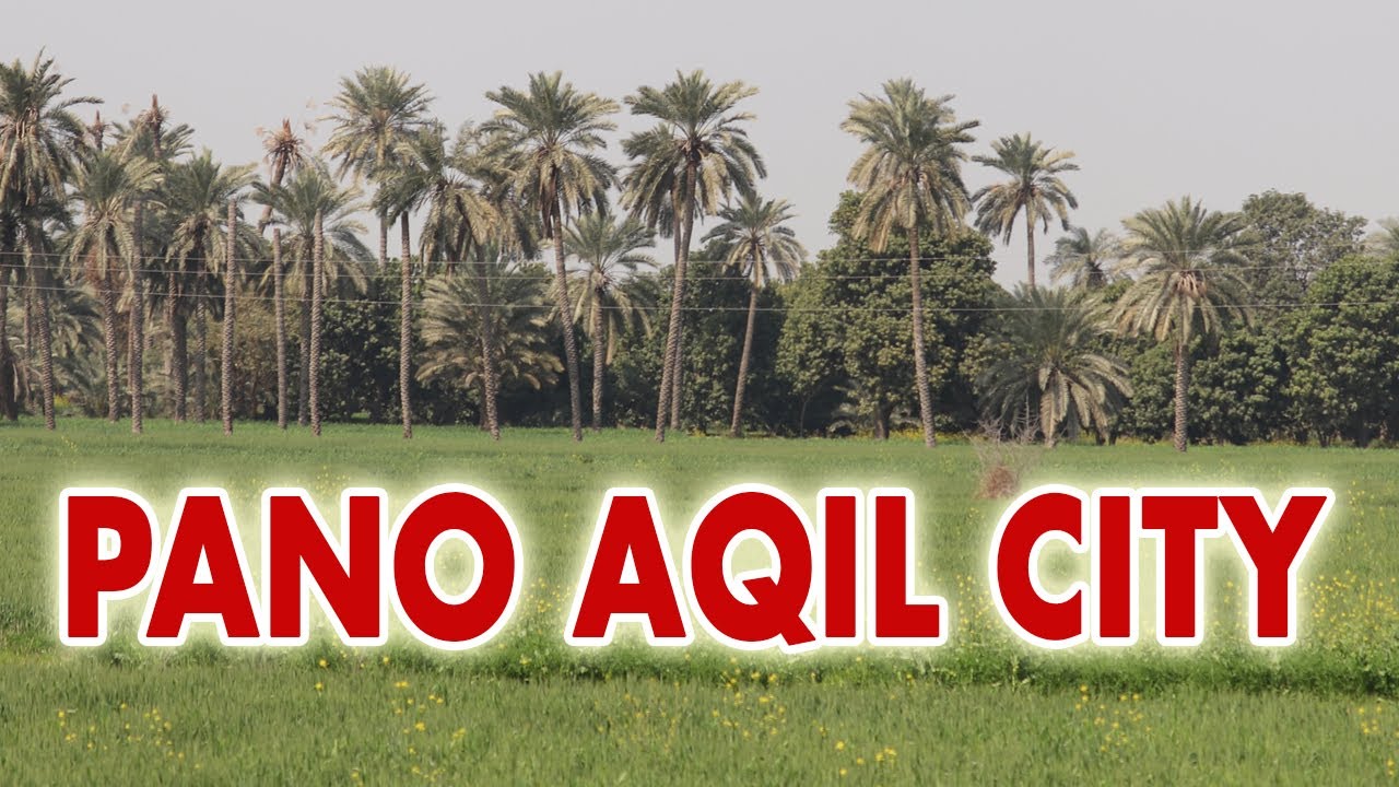 PANO AQIL CITY | PANO AKIL CITY TOUR | Pano Aqil Sindh Pakistan | Pakistan Travel Vlog 2020