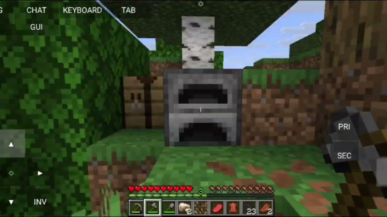Jogando minecraft