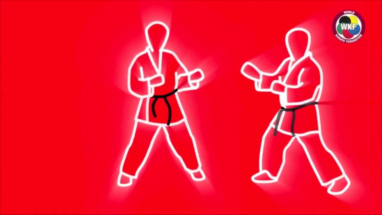 Reglas Basicas de Karate para Kumite