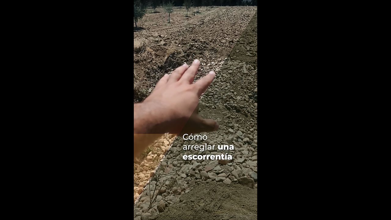 ARREGLAR UNA ESCORRENTÍA - (NUEVA PLANTACIÓN)