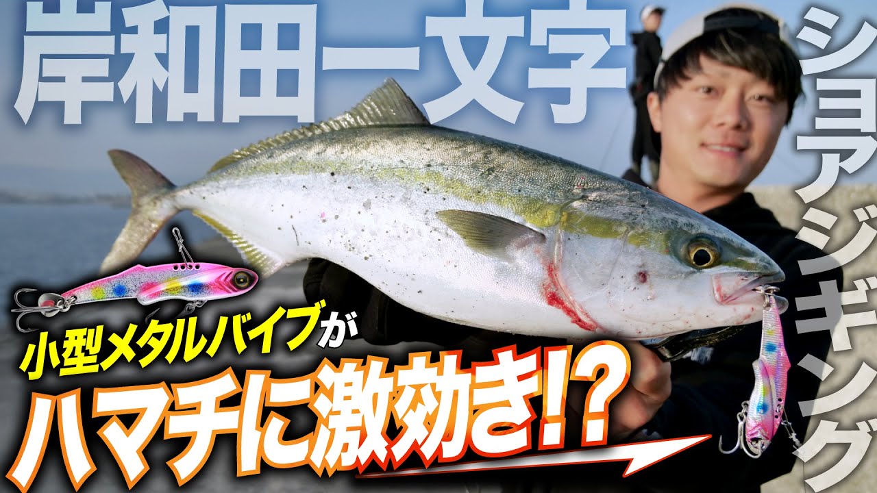 【ショアジギング】小型メタルバイブがハマチに激効き！？春の岸和田一文字ショアジギング