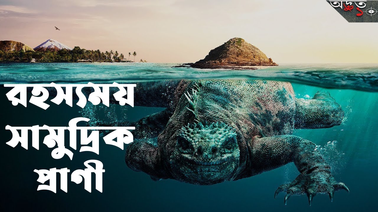 ৫ টি রহস্যময় সামুদ্রিক প্রাণী,যা দেখে বিজ্ঞানীরা অবাক। 5 Most Mysterious & Unexplained Sea Creatures