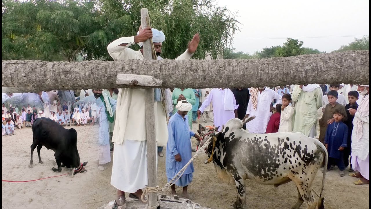 Baisakhi Mela Festival in Punjab  Pakistan 2022 Baisakhi video Part 2