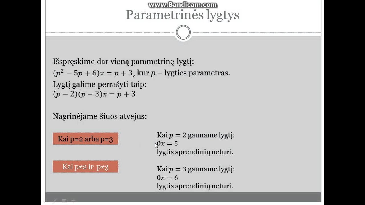 Lygtys su vienu kintamuoju. Parametrinės lygtys (2 dalis)