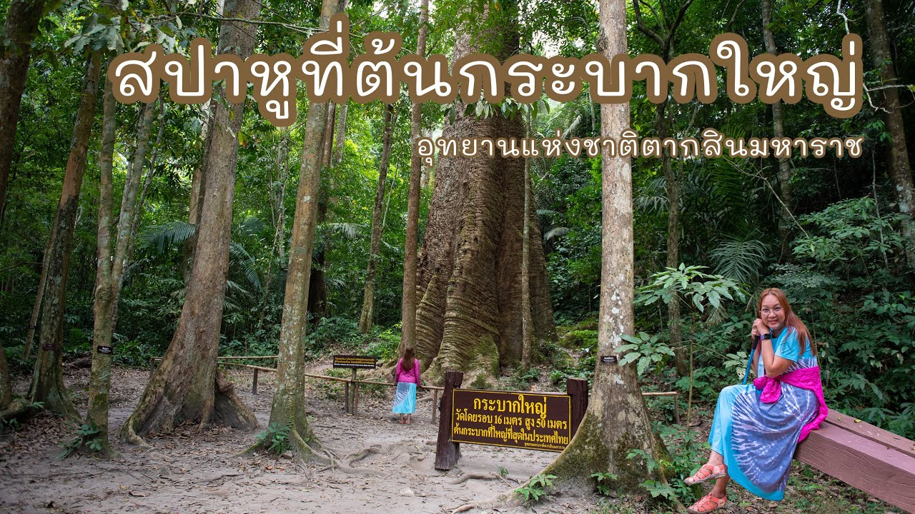ตะลุยแดนตาก EP.10/10 อุทยานแห่งชาติตากสินมหาราช จ.ตาก | ปล่อยใจเที่ยว ทั่วแดนดิน
