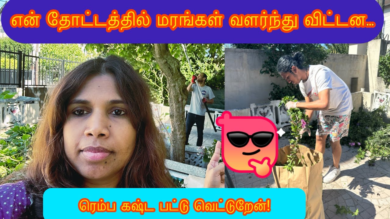 பிரான்சில் கொசு தொல்ல மரங்களை வெட்டுறோம்| இப்படி ஒரு இயந்திரம் இருந்தால்👌/Gardening vlog in Tamil