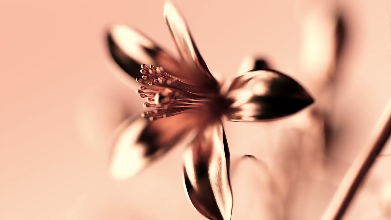 Tiffany Rose Gold Intense