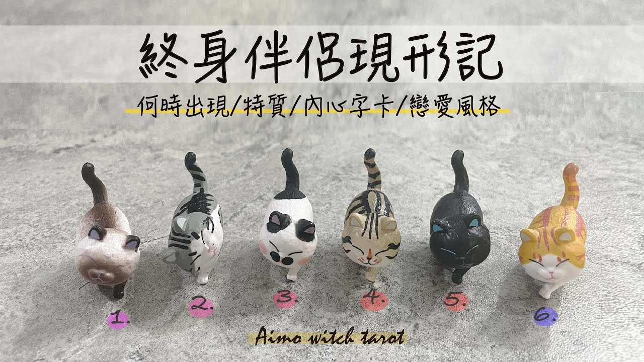 終身伴侶何時出現 \你的正緣\下一段戀愛\戀愛風格 特質 緣分 給你的內心話 | 無時間性別限制 | #占卜 #戀愛 #塔羅  #tarot #靈性 #療癒 #桃花 #正緣 #終身伴侶