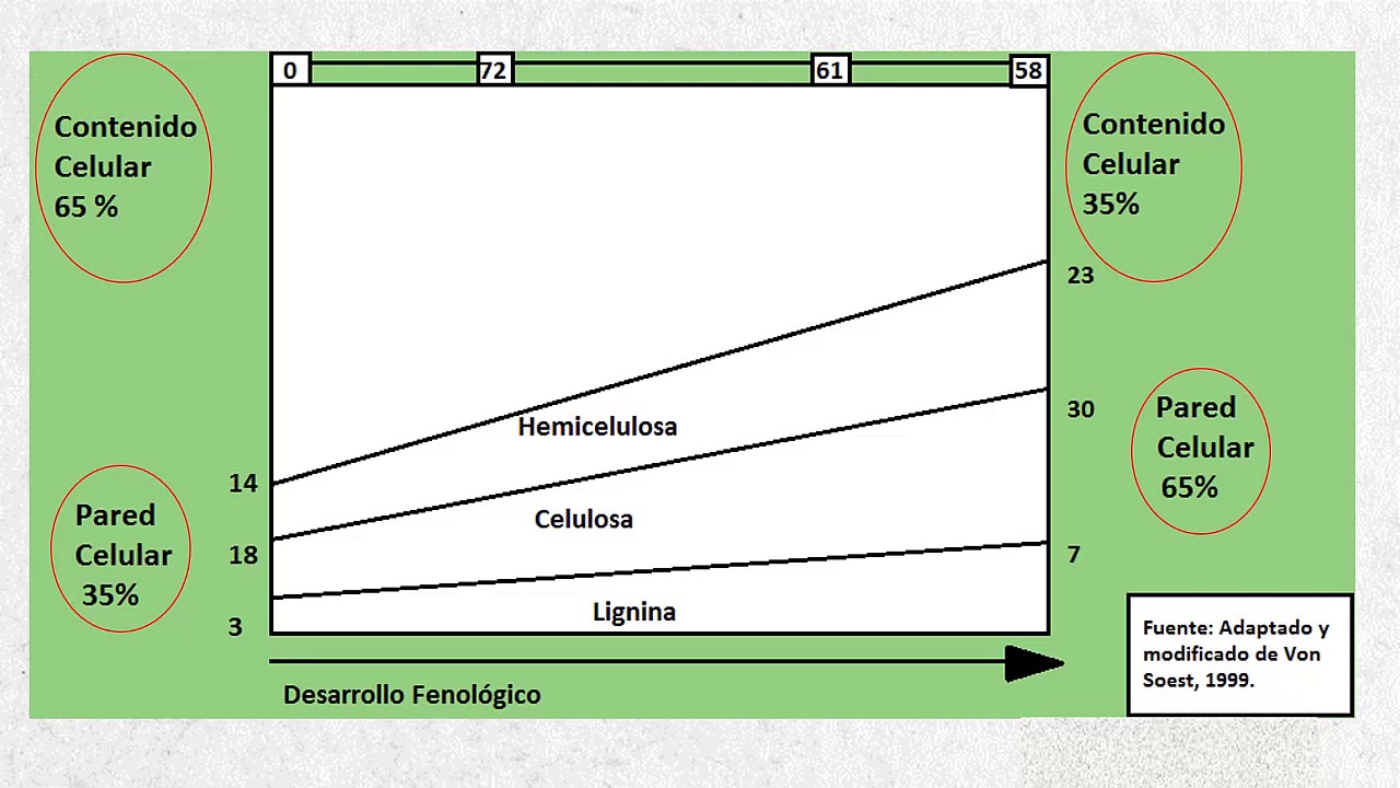 Generalidades y Características de los Forrajes