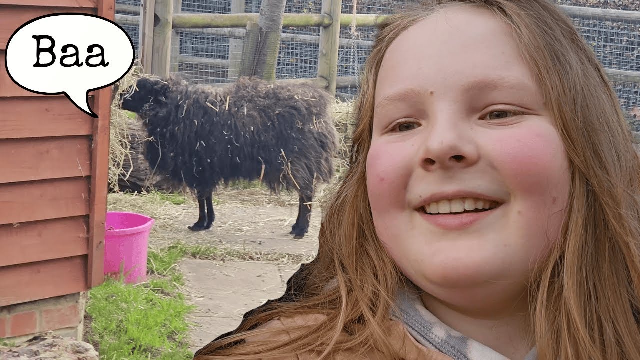Revisiting the animal farm that i went to a lot when i was a toddler