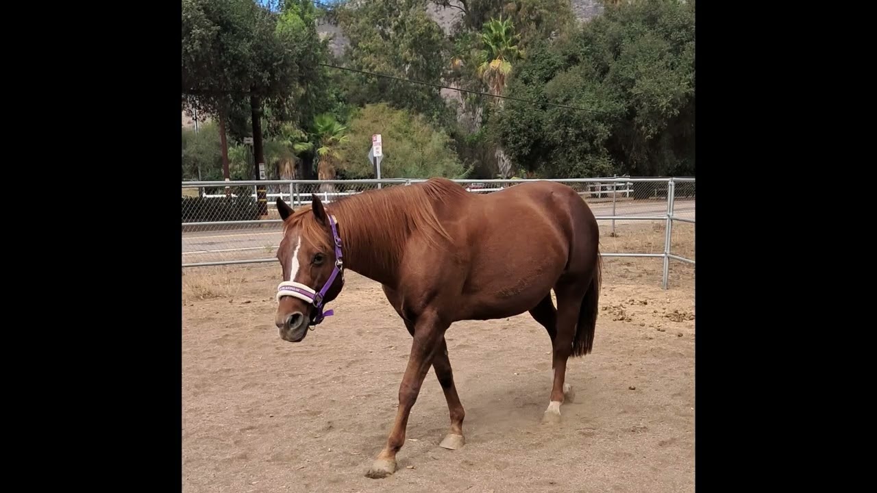 unknown