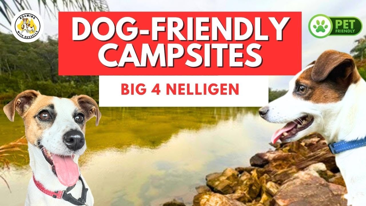 Big 4, Nelligen NSW