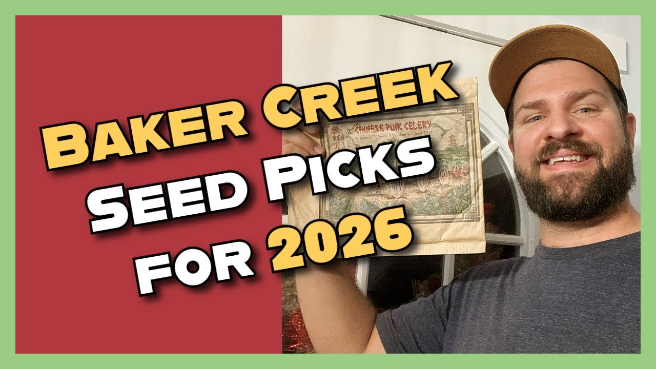 Мой заказ семян для сада на 2026 год | Отзывы о семенах старинных сортов Baker Creek в одном пред...