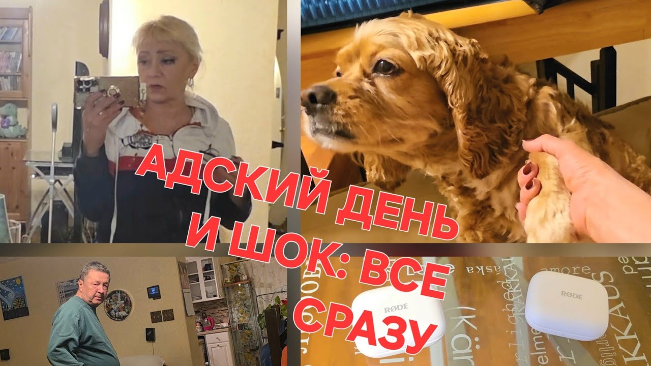 БОЖЕ, ДАЙ МНЕ СИЛЫ: ТОРНАДО, СОБАКА ЗАБОЛЕЛА, ВСЯ РАБОТА- В БОЧКУ...