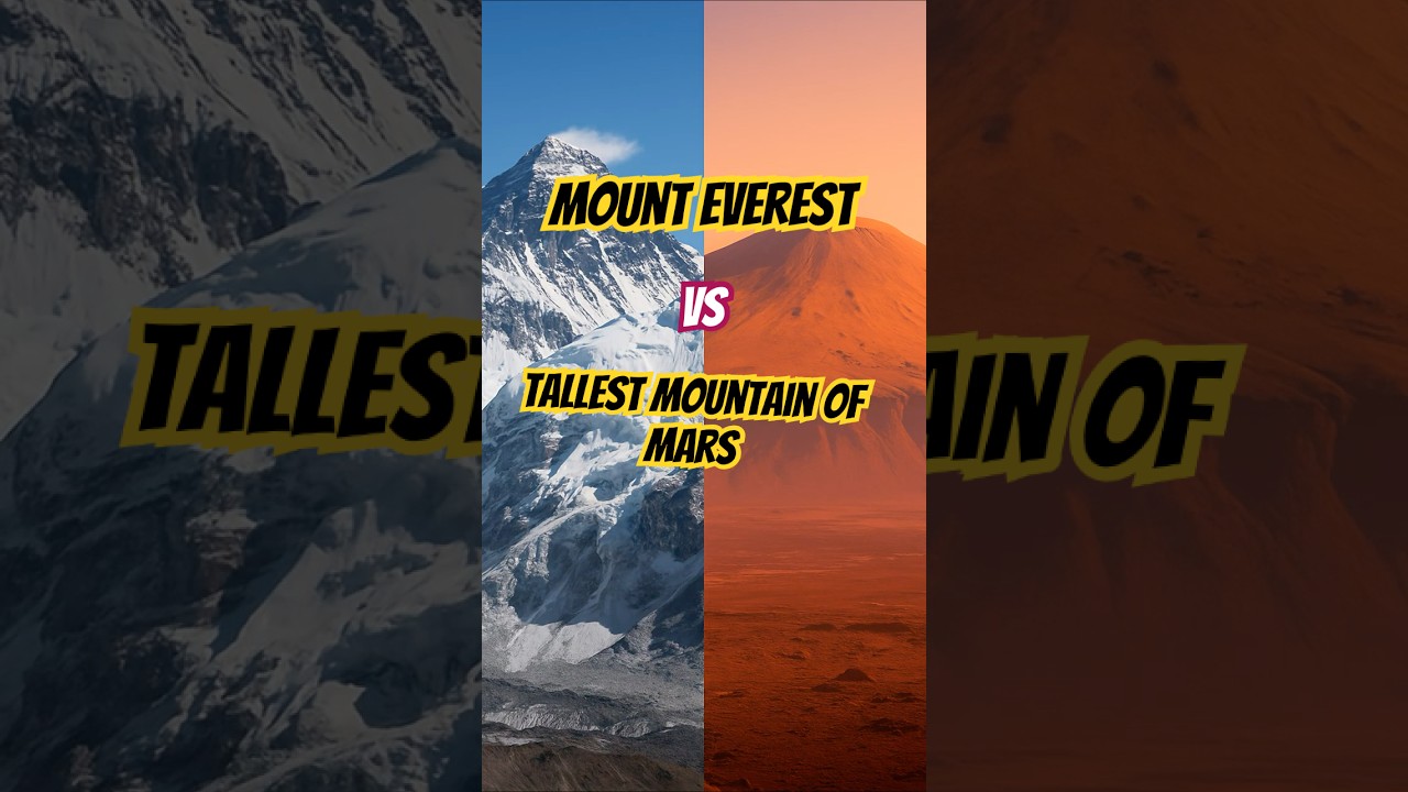 Mount Everest vs. Olympus Mons: Earth's Peak vs. Mars' Giant