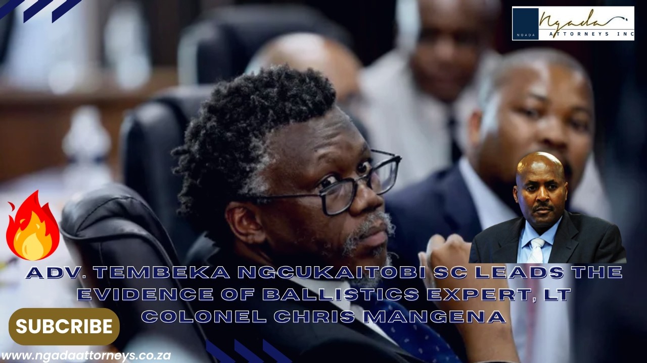 Adv. Tembeka Ngcukaitobi SC leads the evidence of ballistics expert, Lt Colonel Chris Mangena