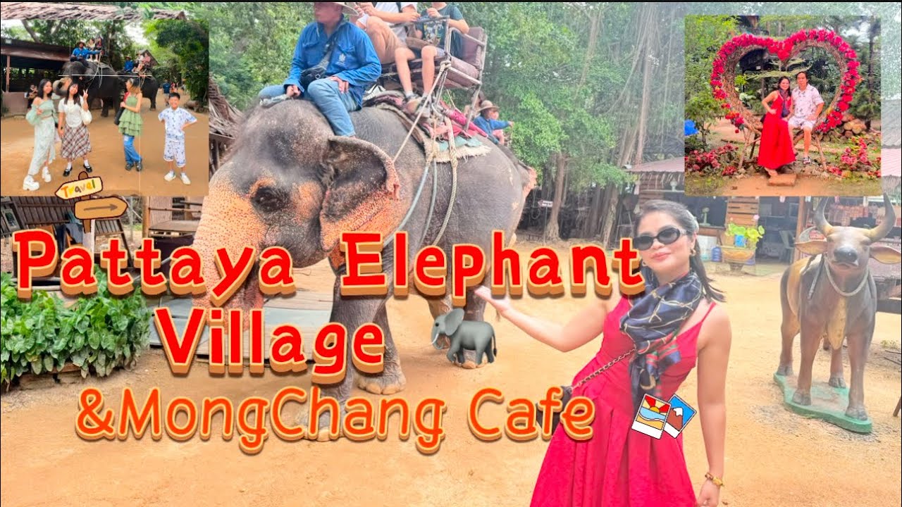 Pattaya Elephant Village & Mongchang Cafe