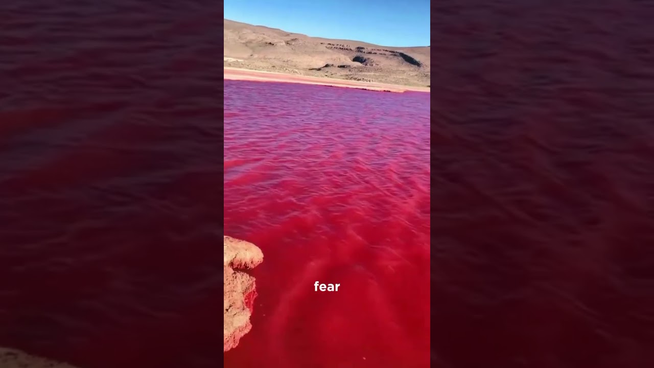 Sea of Galilee Turns BLOOD RED | Scientists Explain Why