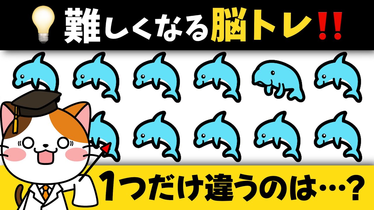 全問正解できたらスゴイ❗️簡単〜難しい問題で楽しく脳トレ💡海の生き物編