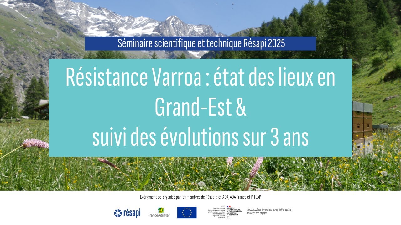 Résistance Varroa : état des lieux en Grand-Est et suivi des évolutions sur 3 ans - Résapi 2025
