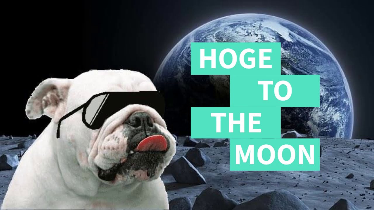 Hogecoin #GotHoge