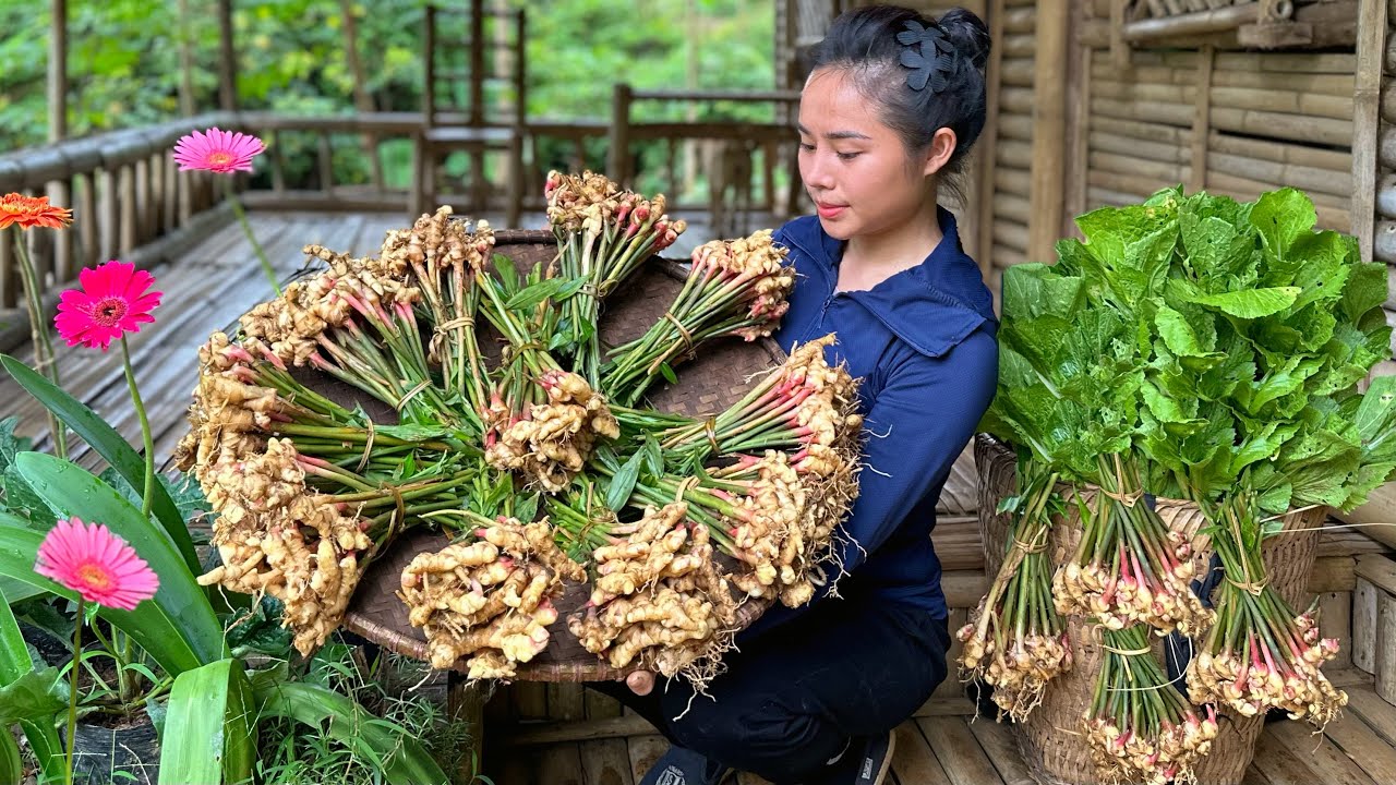 Harvest ginger root and mustard greens and bring them to the market to sell