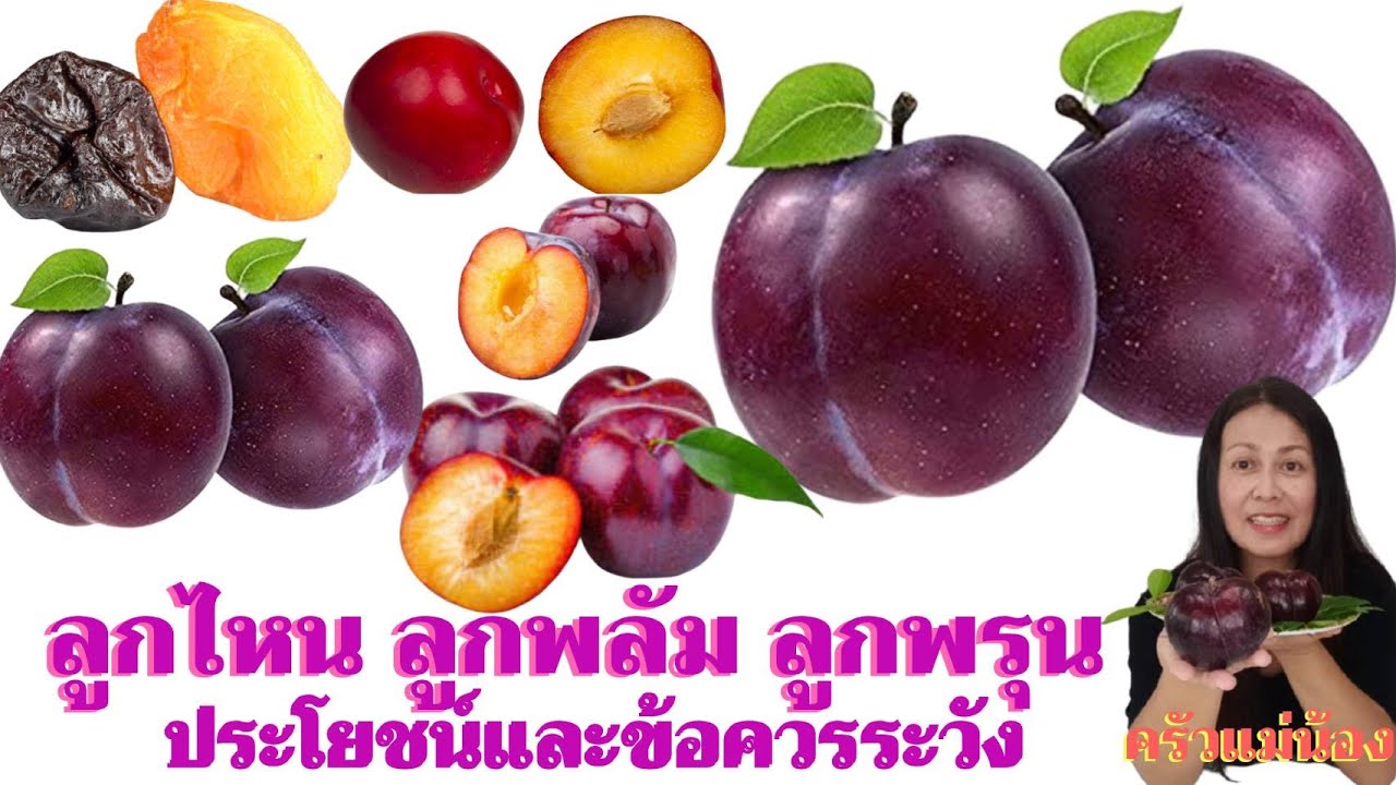 ลูกไหน ลูกพลัม ลูกพรุน ประโยชน์และข้อควรระวัง/ครัวแม่น้อง