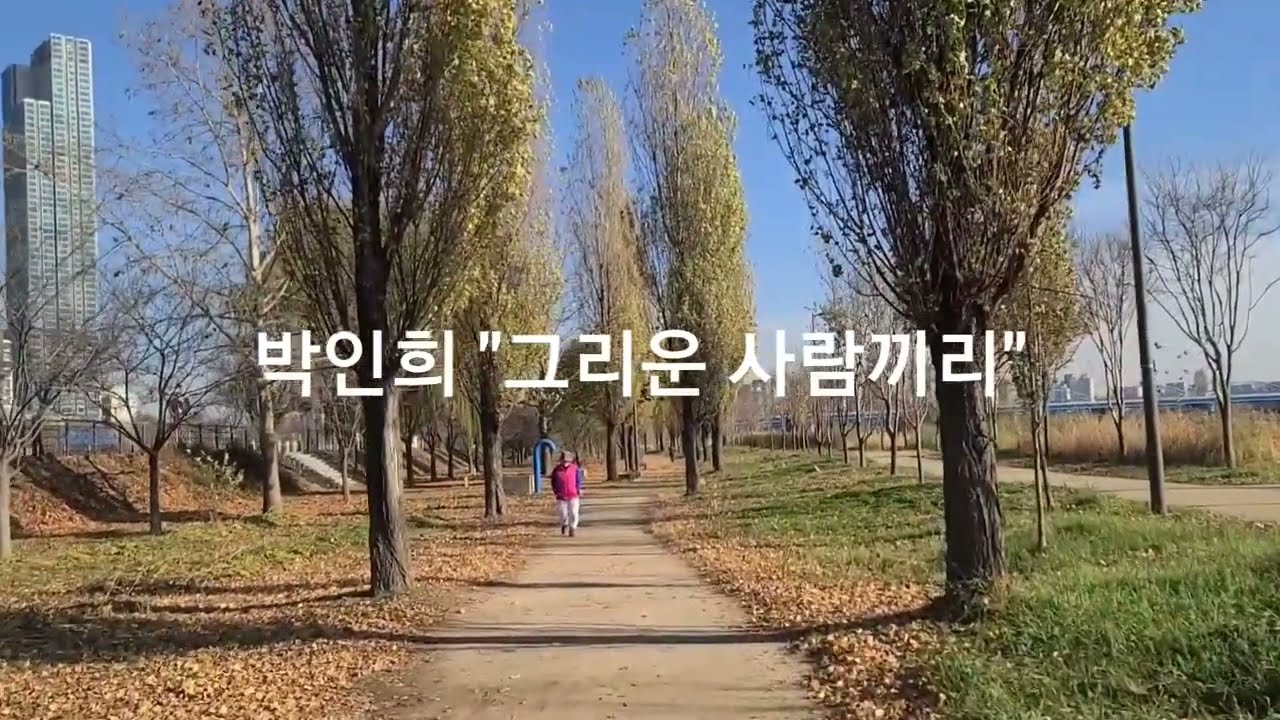 박인희 