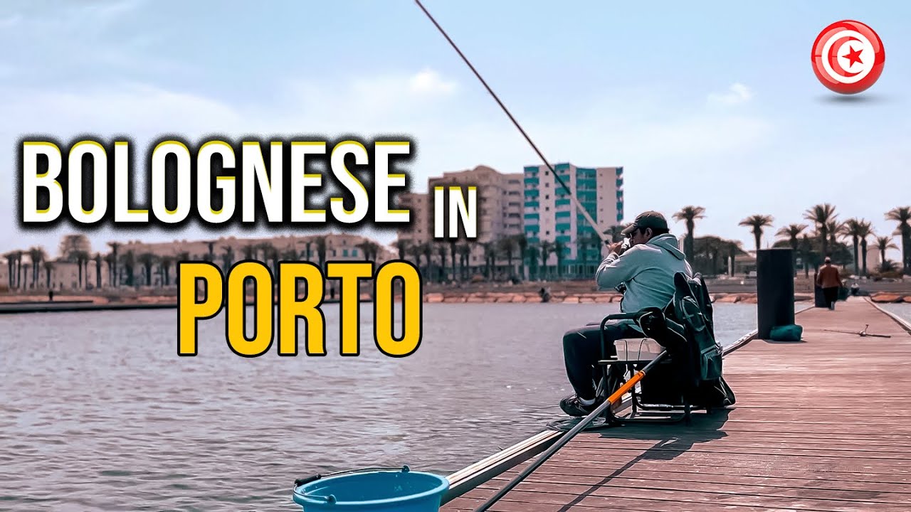 Pesca a Bolognese in porto