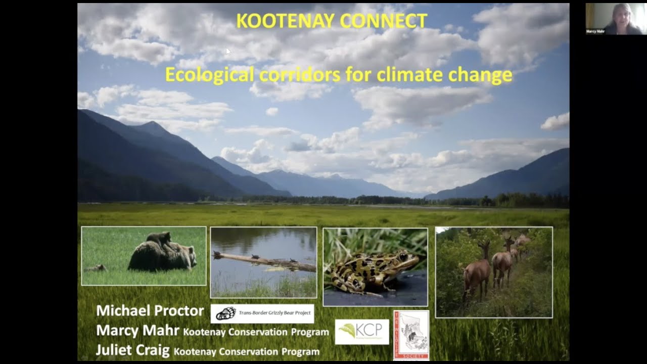 Kootenay Connect: Ecological Corridors in the Kootenays