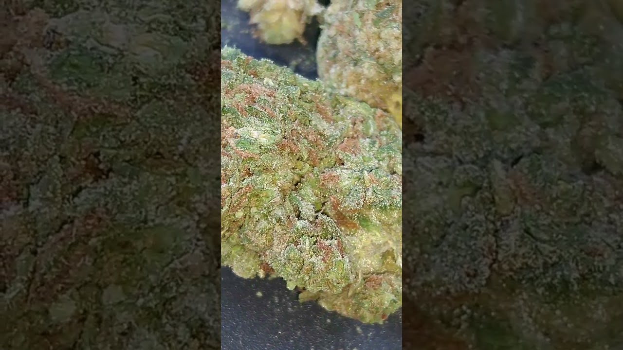 real tangerine kush 🍊