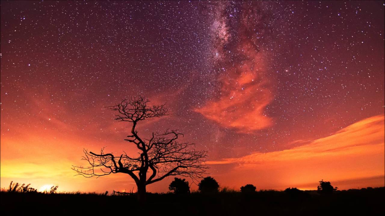 Perpetuoso - Brian Holmes