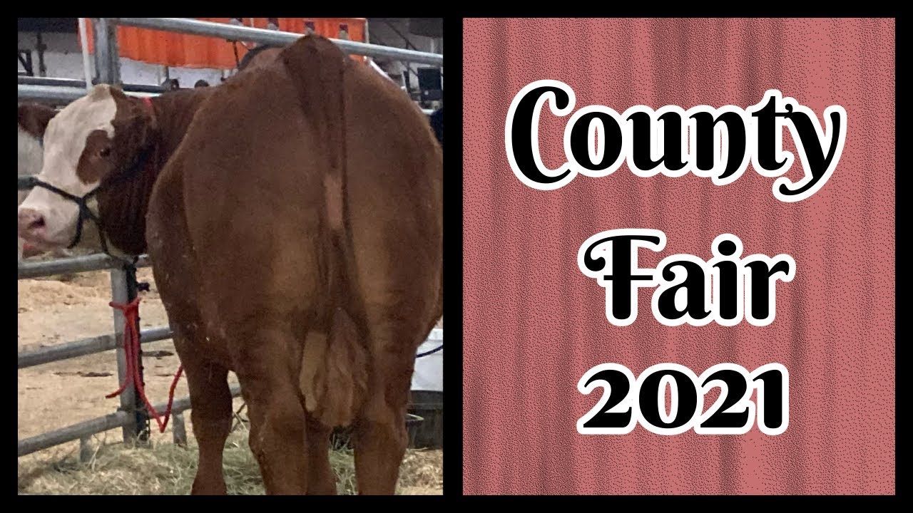 HandyDandyCrafts County Fair 2021
