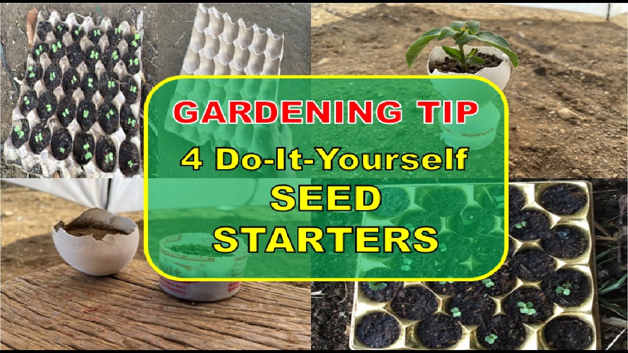 GARDENING IDEA: DIY SEED STARTERS | ALTERNATIVE TO SEEDLING TRAY | PLANT LOVER'S DIARY