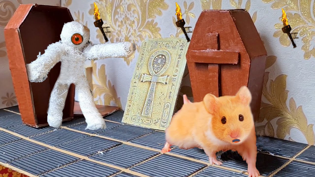 Hamster Adventure Maze Obstacle course 5 mysterious levels in Hamster Stories