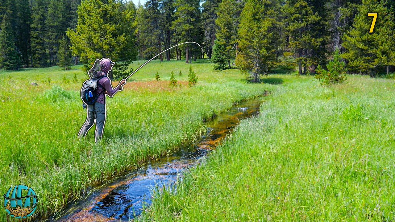 Fly Fishing for Wyoming's Most Iconic Fish! (2 days of trout fishing)
