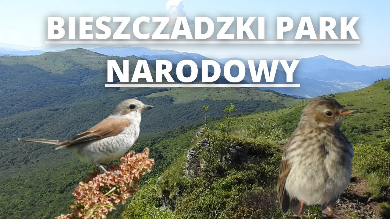 Bieszczadzki Park Narodowy