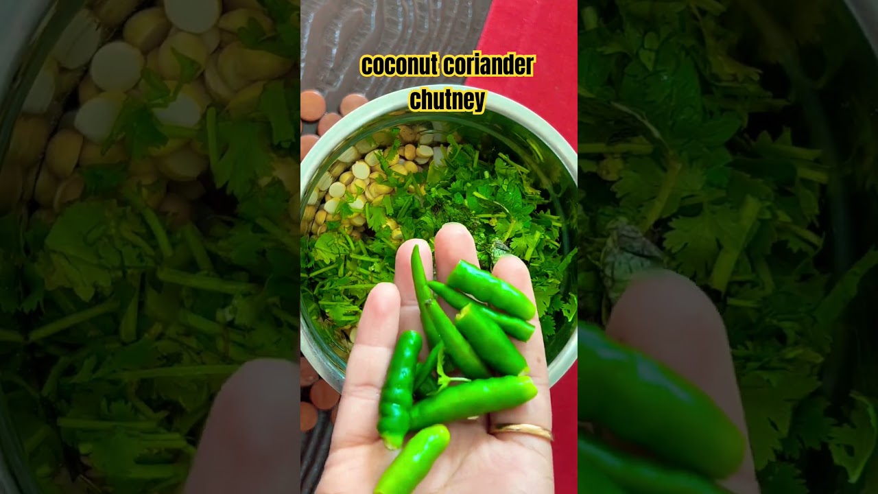 Coconut coriander chutney #tastyrecipes #breakfast #dosa #5minrecipe #cooking #earlymornings