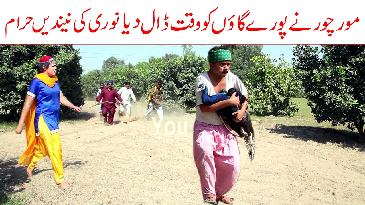 Wada Number Daar Noori Moor Chor Kirlo Bhola Khushia Kirli New Funny Comedy Video 2022  | You Tv HD
