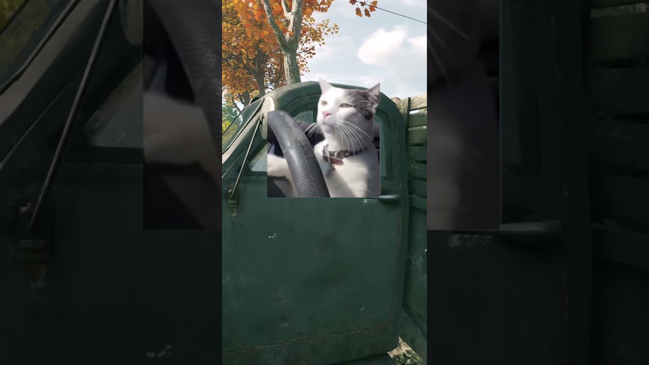 Average APC driver | Enlisted