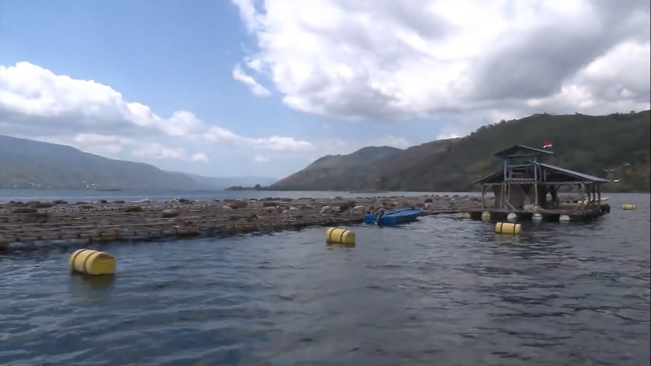 Pesona Surga Bawah Laut Kepulauan Alor, Karibia-nya Indonesia
