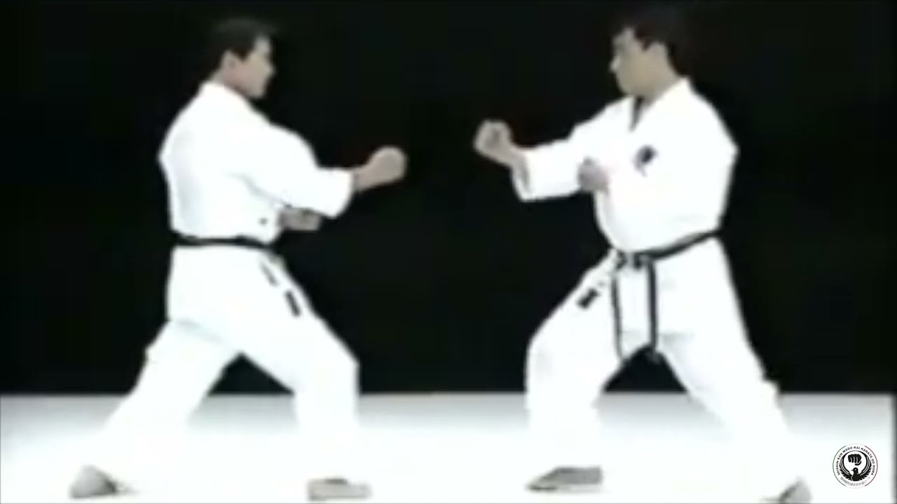 Kihon Kumite from n° 1 to n° 3  JKF Wado Kai